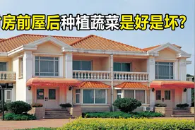农村房前屋后种植蔬菜是好是坏？新农村能这样建设吗？各有利弊视频封面