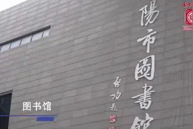 南阳市“三馆一院”之图书馆