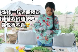 美国的乡村生活，春天真的是美好的季节，各种新鲜蔬菜吃不完视频封面