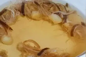 芹菜根别再扔了，和陈皮一起煮水喝，作用这么厉害，既省钱又实用视频封面
