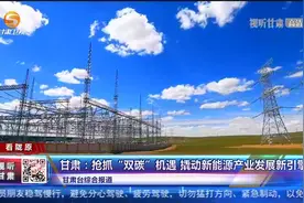 甘肃：抢抓“双碳”机遇 撬动新能源产业发展新引擎视频封面