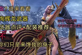 【MHWI】M位绚辉龙武器怎么选？选它就对了！【包包】视频封面