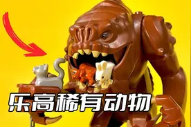 乐高稀有动物零件 你见过多少？视频封面