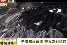 貂皮放车内，一夜之间不翼而飞，警方立即调查如数追回视频封面