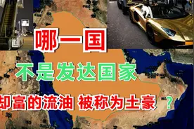 为什么沙特不是发达国家，却富的流油，被称为中东土豪？视频封面