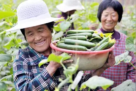 吃有机食物呼吸无污染空气的农村人，为什么还普遍比城里人显老？视频封面