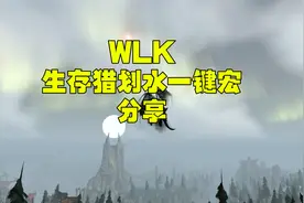 wlk生存猎一键宏 分享视频封面