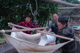 30年经验的老师傅说，刚挖回来的红薯不能直接打粉，这是为什么？视频封面