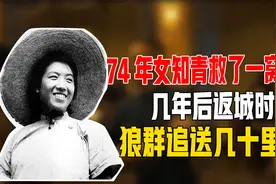 1974年女知青救了一窝狼崽，几年后返城时，狼群追送几十里地视频封面