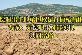 有偿退出土地承包权是在搞私有化？   无偿退出才能实现共同富裕视频封面