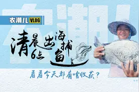 清晨6点出海捕鱼啥感觉？乘风破浪的渔民姐姐带你体验视频封面