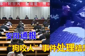 安阳“狗咬人”处理通报：当事人王新刚被撤职，多名干部被问责视频封面