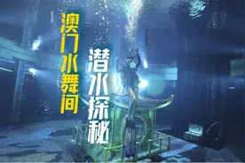 穿上水肺装备，解锁谢霆锋同款潜水探秘澳门新濠天地水舞间视频封面