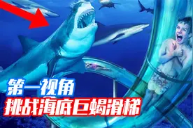 当船长挑战海底巨蝎滑梯遇到鲨鱼？第一视角带你刺激体验！视频封面