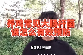 养鸡常见的大肠杆菌，发病原因有哪些，又该怎样有效预防视频封面