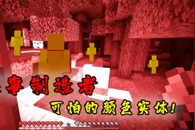 我的世界：改变世界颜色控制村民，诡异的颜色实体！视频封面