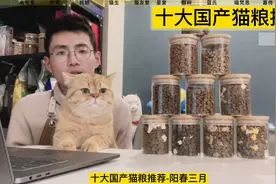 十大国产猫粮推荐-阳春三月视频封面