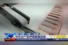 山东：特色动产抵押缓解融资难|央视网视频封面