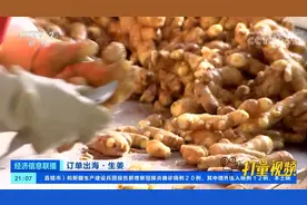 订单出海！山东安丘：生姜出口大幅增加|经济信息联播视频封面