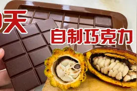足足花了9天时间，终于用“可可果”做出了黑巧克力！视频封面