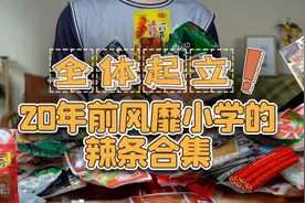 20年前风靡全国小学的20款辣条合集！现在的小朋友应该都没吃过吧视频封面