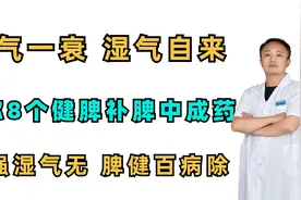 脾气一衰，湿气自来，送你8个补脾健脾中成药，脾强湿自除视频封面