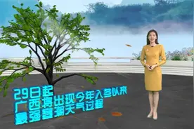 29日起广西将迎强寒潮天气过程视频封面