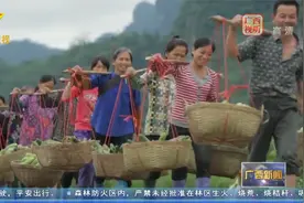 脱贫攻坚！乡村振兴！广西多条经验获国家部委认可视频封面