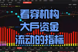 主力状态；唯一一个看穿机构，大户资金流动的指标，操作得心应手视频封面