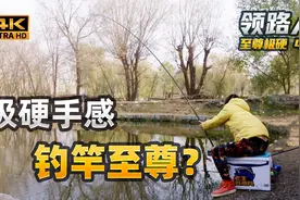 宣称极硬19调，取名至尊名不虚传？开箱测评：领路人-至尊极硬！