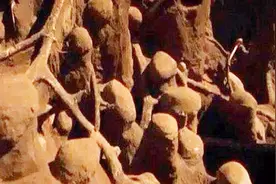 蚂蚁花费10年建造庞大“地下王国”，可供数百万同胞生存视频封面