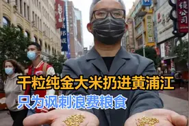 千粒纯金大米扔进黄浦江，只为讽刺浪费粮食，是艺术还是浪费？视频封面