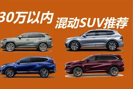 预算30万以内，不同类型混动SUV推荐视频封面