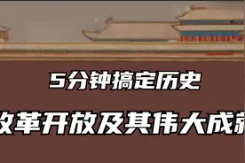 13.5分钟搞定历史：改革开放及其伟大成就（必修二 第13课）视频封面