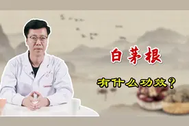凉血止血、清热利尿，长在沙土地里的白茅根，没想到有这么多用处视频封面