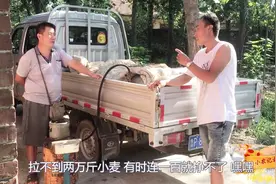 农村小伙上街收粮，买20000斤小麦，说出利润你信吗？视频封面
