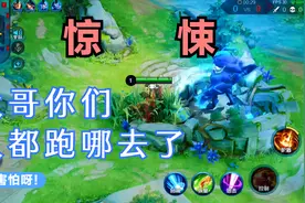 为何敌方英雄集体消失？为何峡谷战场只剩廉颇一枝独秀？这是为何视频封面