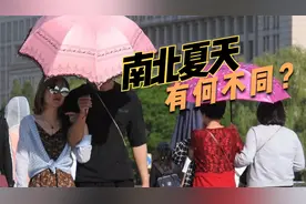 南北方过夏天差距太大了，在南方过夏天，有被蚊虫支配的恐惧视频封面