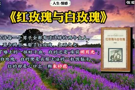 《红玫瑰与白玫瑰》： 一个是他的白月光，一个是他的朱砂痣……视频封面