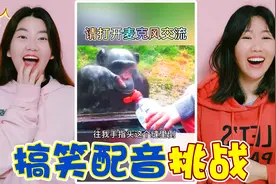 搞笑配音挑战！青蛙王子一口“川普”，太无语了视频封面