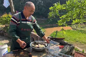 重庆渝北偏僻农村变热门景点，农家乐吃住150元一天，游人如织视频封面