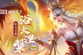 王昭君从0开始超大型教学！真●国服都不一定知道的技巧！（一）视频封面