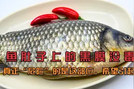 鱼肚子上的黑膜没毒！真正“危险”的是这部位，希望引起重视视频封面