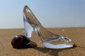 大海退潮后，赶海发现一只会卧沙的水晶鞋，还有小海肠视频封面