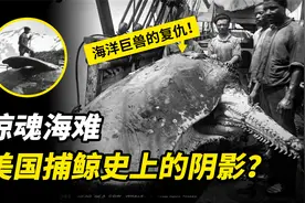 美国捕鲸史上的阴影？真实发生的惊魂海难事件！鲸鱼的复仇视频封面