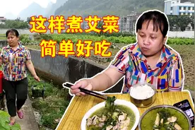 清明前后，广西农村路边水沟边野生艾菜任釆摘，这样煮汤菜鲜味美视频封面