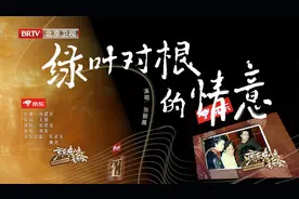 京东晚八点音乐会 | 张碧晨 《绿叶对根的情意》视频封面
