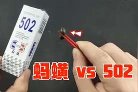 把水蛭放进502里。会怎么样呢？视频封面