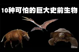 10种可怕巨大史前生物盘点，史前世界的生物真的是太让人震撼了！视频封面