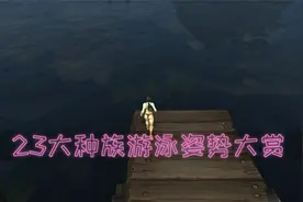 「魔兽23大种族游泳姿势大赏」谁的姿势最优美！谁的身材最性感！视频封面